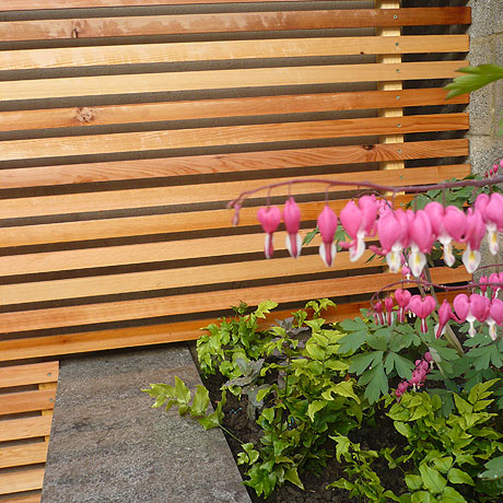 Think Outside - Portfolio - Modern, Low Maintenance Garden